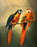 virginie-raguin-artiste - Animaux