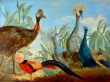 virginie-raguin-artiste - Animaux