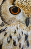 virginie-raguin-artiste - Animaux