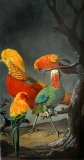 virginie-raguin-artiste - Animaux