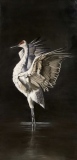 virginie-raguin-artiste - Animaux