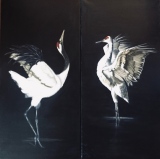 virginie-raguin-artiste - Animaux