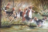 virginie-raguin-artiste - Animaux