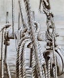 virginie-raguin-artiste - Mer