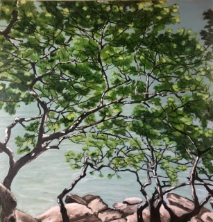 virginie-raguin-artiste - Mer