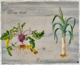 virginie-raguin-artiste - Fruits / Légumes