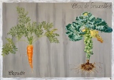 virginie-raguin-artiste - Fruits / Légumes