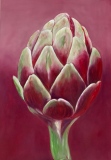 virginie-raguin-artiste - Fruits / Légumes